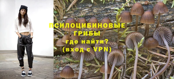 мдпв Армянск
