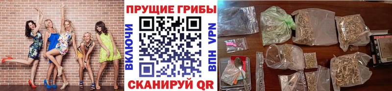 Купить где  Белово  Галлюциногенные грибы Magic Shrooms 